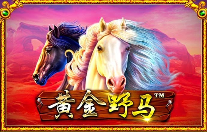 彩皇官网